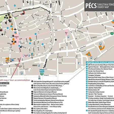 Center Apartment Pecs